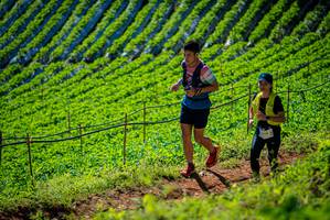 BIB: 
                            <button type="button" onclick="openModal(19161997)" class="btn btn-primary btn-sm float-right btn-popup" data-toggle="modal" data-target=".modal-high-quality">
                        <i class="fas fa-shopping-cart"></i> Add to Cart
                    </button>
                                            <button type="button" onclick="isThisMe(19161997, true)" class="btn btn-success btn-sm float-right btn-popup btn-isme hidden" data-toggle="tooltip" data-placement="bottom" title="นี่คือรูปของคุณใช่ไหม คลิกที่นี่เพื่อเอาเข้าอัลบั้ม">
                        <i class="fas fa-plus"></i> Add to album
                    </button>
                    <button type="button" onclick="isThisMe(19161997, false)" class="btn btn-warning btn-sm float-right btn-popup btn-isnotme hidden">
                        <i class="fas fa-ban"></i> Remove from album
                    </button>